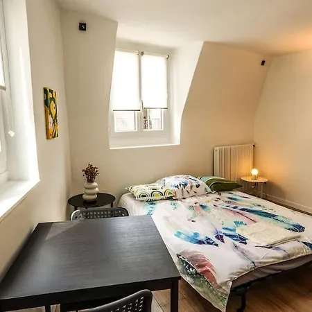 Sunny Notre Dame Apartment *