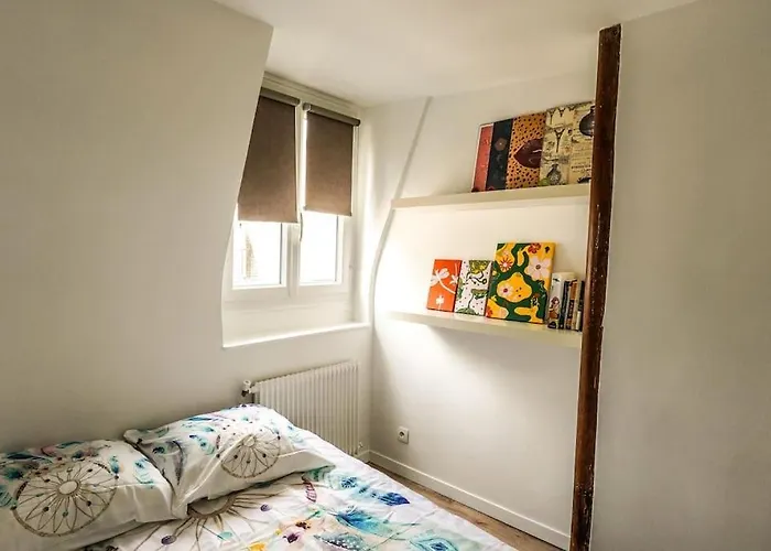 Sunny Notre Dame Paris